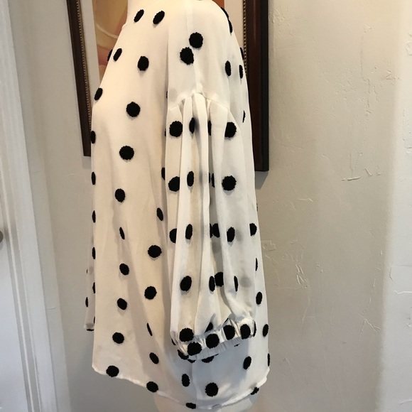 Dot Blouse - Picture 5 of 5
